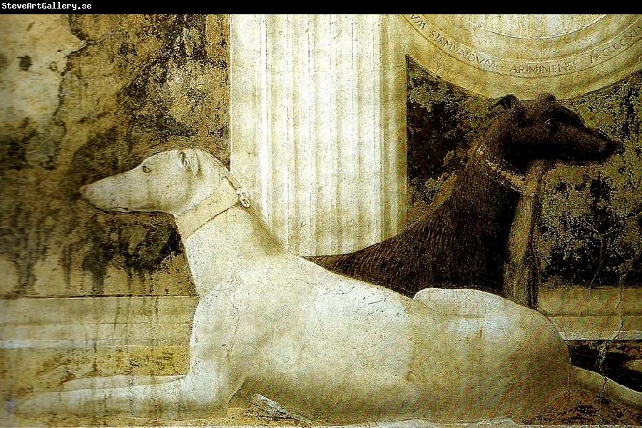 Piero della Francesca detail of the dogs from st sigismund  and sigismondo pandolfo malatesta
